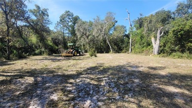 Withlacoochee River Lot For Sale in Webster Florida