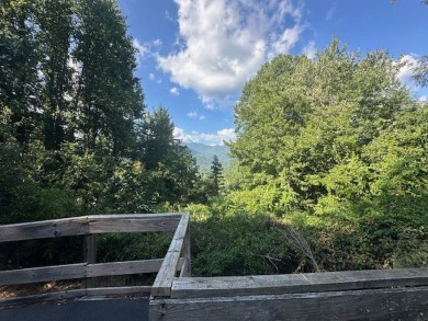 Looking for a project while enjoying mountain and valley views