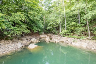 Lake Acreage For Sale in Houston, Alabama