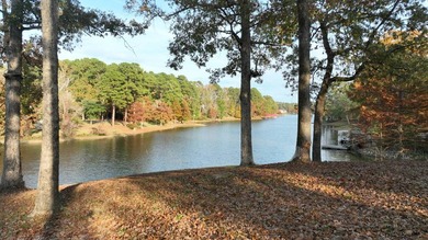 Discover the perfect blend of tranquility and opportunity with - photo 13