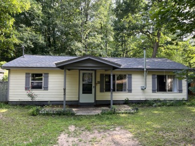 Tallman Lake Home For Sale in Fountain Michigan