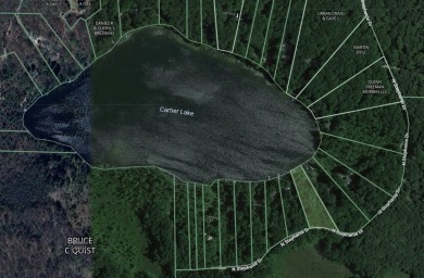 Lake Lot Sale Pending in Branch, Michigan