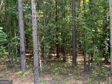 Lake Acreage For Sale in Dallas, Georgia