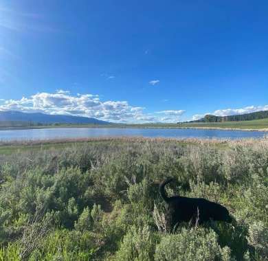 Lake Acreage For Sale in Cascade, Idaho