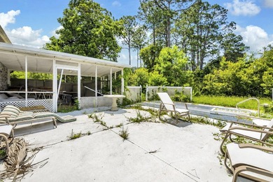 Ranch Style brick home, 3/2 with small pool on two private lots - photo 33