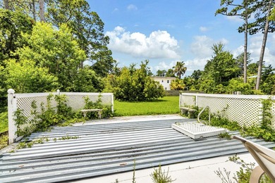 Ranch Style brick home, 3/2 with small pool on two private lots - photo 36