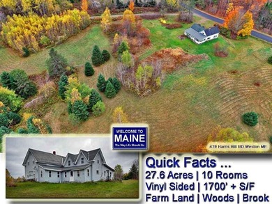 Lake Home For Sale in Weston, Maine