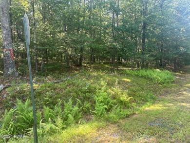 Tink Wig Lake Lot Sale Pending in Hawley Pennsylvania