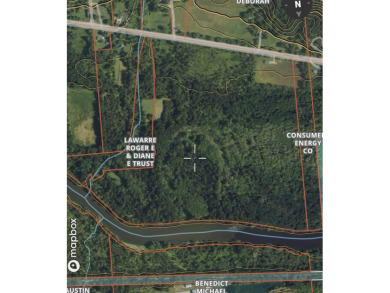 Lake Acreage Sale Pending in Saranac, Michigan