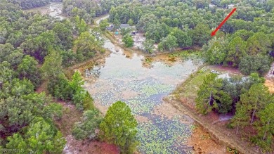 (private lake, pond, creek) Lot For Sale in Webster Florida