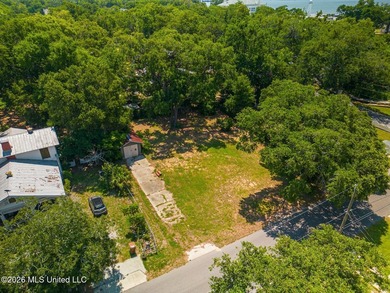 Discover the perfect setting for your dream home at 146 Gill Ave - photo 9