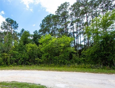 (private lake, pond, creek) Lot For Sale in Webster Florida