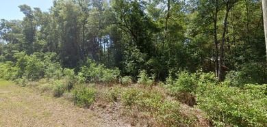 Bonable Lake Lot For Sale in Dunnellon Florida