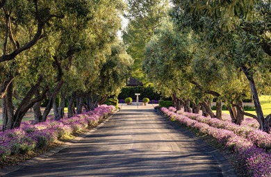 The crown jewel of the Santa Ynez Valley, and arguably one of - photo 3