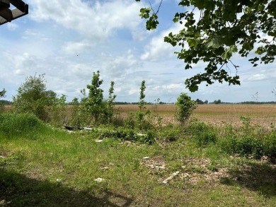 Reelfoot Lake Lot For Sale in Tiptonville Tennessee