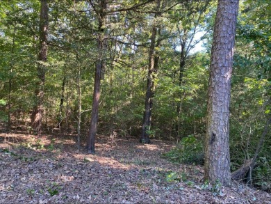 Lake Dardanelle Lot For Sale in Russellville Arkansas