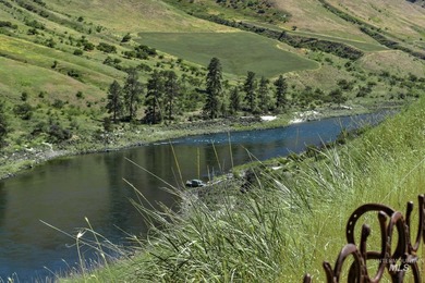 Own a piece of Salmon River history! The breathtaking - photo 7