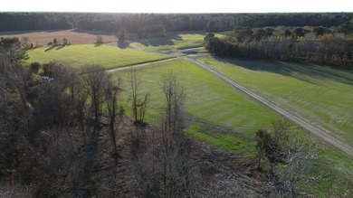 Lake Moultrie Acreage For Sale in Saint Stephen South Carolina