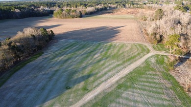 Lake Moultrie Acreage For Sale in Saint Stephen South Carolina
