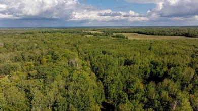 Your 159-acre dream property awaits! Whether you're seeking a - photo 25