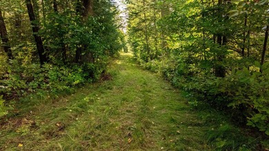 Your 159-acre dream property awaits! Whether you're seeking a - photo 26