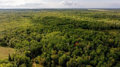 Your 159-acre dream property awaits! Whether you're seeking a - photo 28