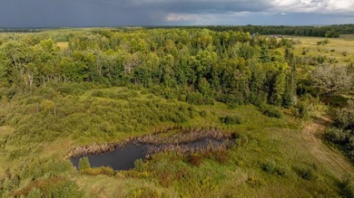 Your 159-acre dream property awaits! Whether you're seeking a - photo 30