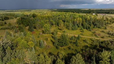 Your 159-acre dream property awaits! Whether you're seeking a - photo 31