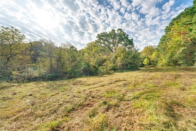 Beautiful property in the heart of Northwest Arkansas in East - photo 7