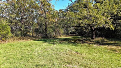 Lake Home For Sale in Hatfield, Arkansas