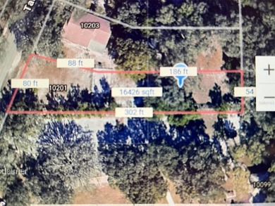 FULL PRIVACY! NOT FLOOD ZONE! NEW SURVEY IS AVAILABLE! OVERSIZED - photo 1