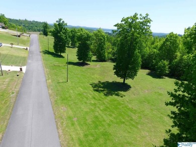 Lake Guntersville Lot For Sale in Guntersville Alabama