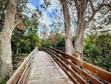 FULL PRIVACY! NOT FLOOD ZONE! NEW SURVEY IS AVAILABLE! OVERSIZED - photo 3