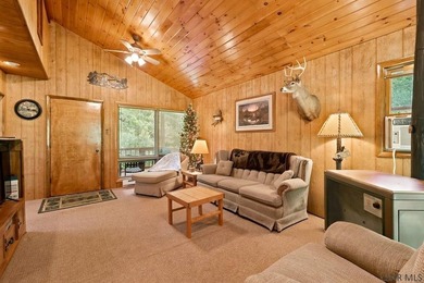 SECLUDED A-Frame on .42 acres minutes from the Yough! Tucked - photo 6