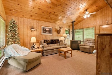 SECLUDED A-Frame on .42 acres minutes from the Yough! Tucked - photo 8