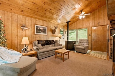 SECLUDED A-Frame on .42 acres minutes from the Yough! Tucked - photo 9