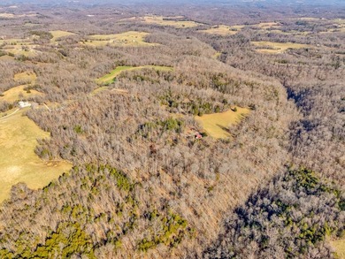 Dale Hollow Lake Acreage For Sale in Allons Tennessee