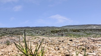Rare opportunity to own 680+/- acres of highly sought-after land - photo 18