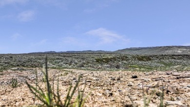 Rare opportunity to own 680+/- acres of highly sought-after land - photo 19