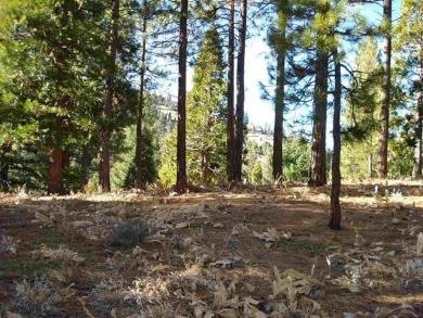 Lake Lot For Sale in Portola, California