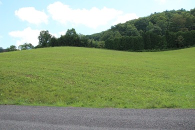 Lake Lot For Sale in Butler, Tennessee