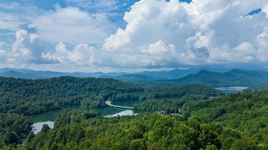 (private lake, pond, coastal) Lot For Sale in Robbinsville (Graham) North Carolina