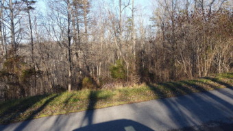 Beautiful & Large Building Lot in Gated Community - Lake Acreage For Sale in La Follette, Tennessee