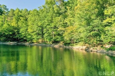 Lake Lot For Sale in Double Springs, Alabama