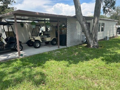 Lake Home For Sale in Leesburg, Florida