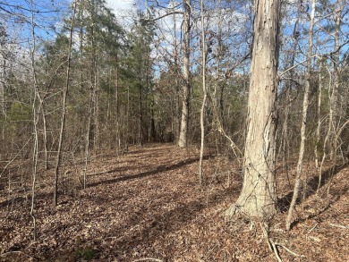 Lake Acreage For Sale in Appling, Georgia