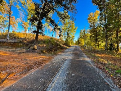 If you are looking for a serene recreational retreat with - photo 14