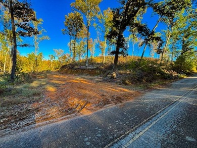 If you are looking for a serene recreational retreat with - photo 15