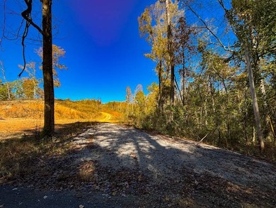 If you are looking for a serene recreational retreat with - photo 17