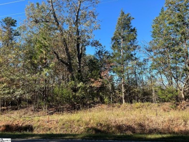 Lake Acreage For Sale in Waterloo, South Carolina